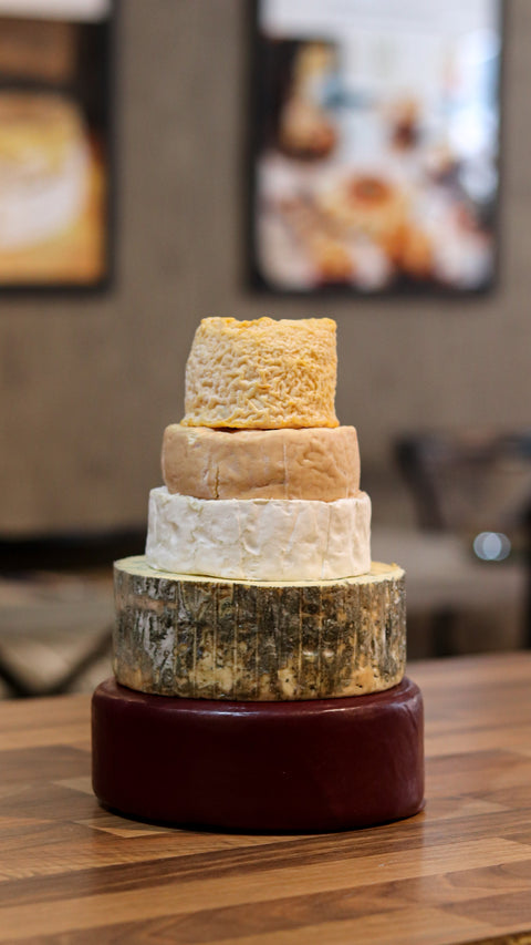 Festive Cheese Cake
