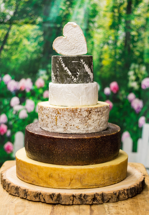 Katherine Cheese Cake
