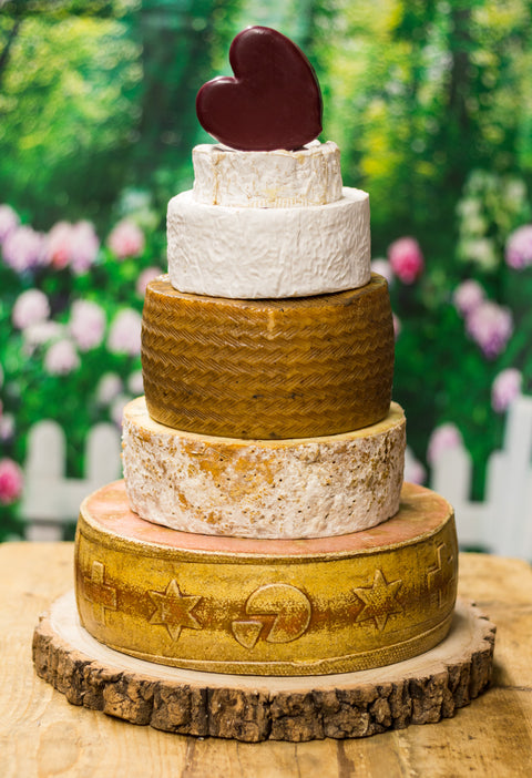 Lorelai Cheese Cake