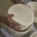 Ossau-Iraty French Basque ewe's milk cheese (view 3)